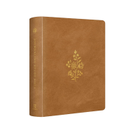ESV Journaling Study Bible Camel Color
