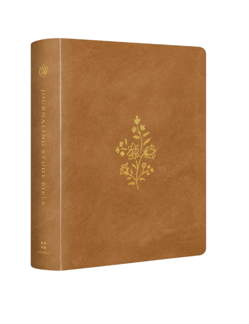 ESV Journaling Study Bible Camel Color